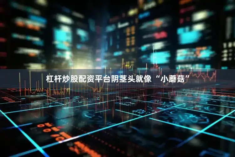杠杆炒股配资平台阴茎头就像 “小蘑菇”