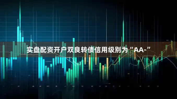 实盘配资开户双良转债信用级别为“AA-”